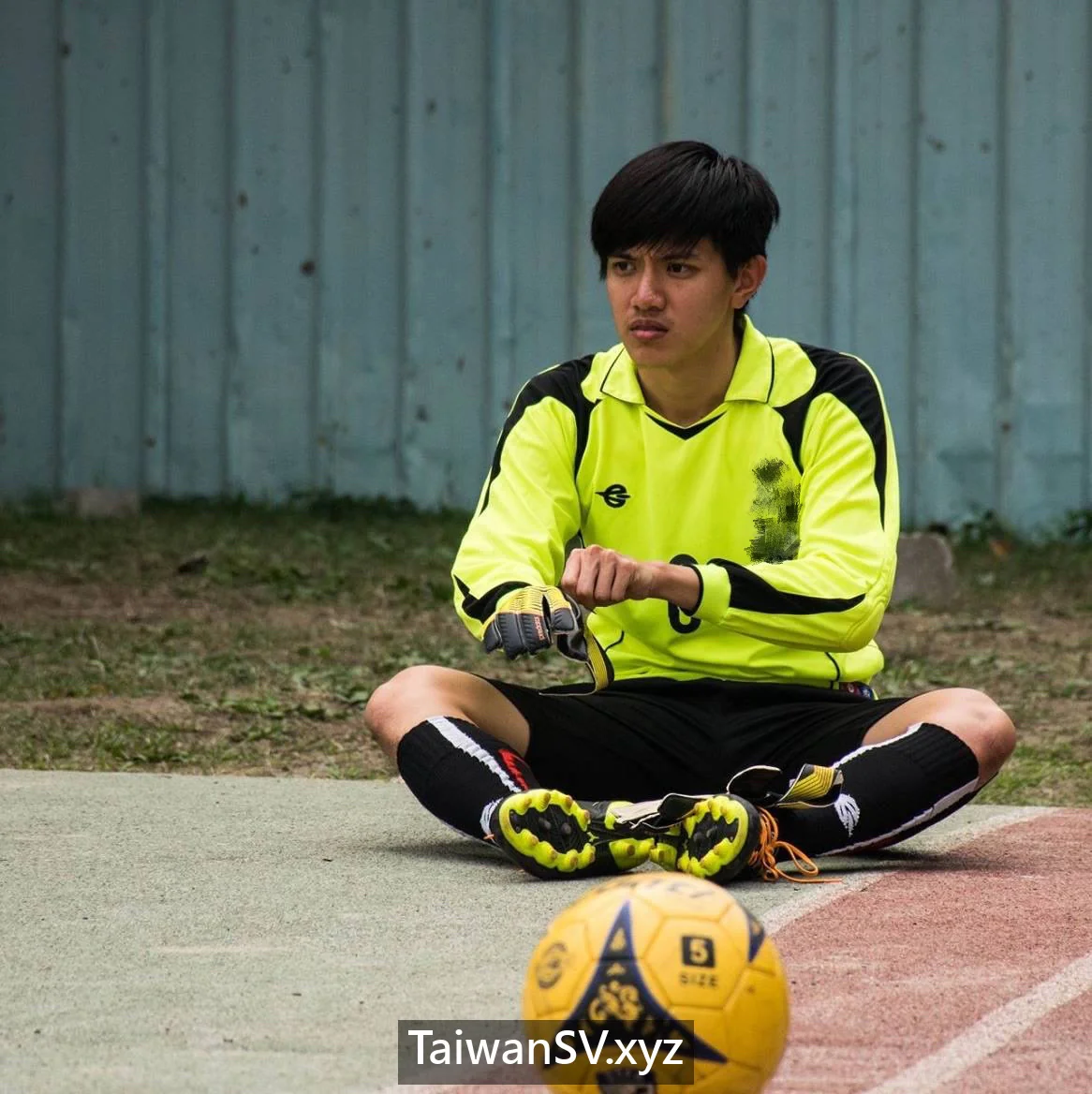 TSV079 preview