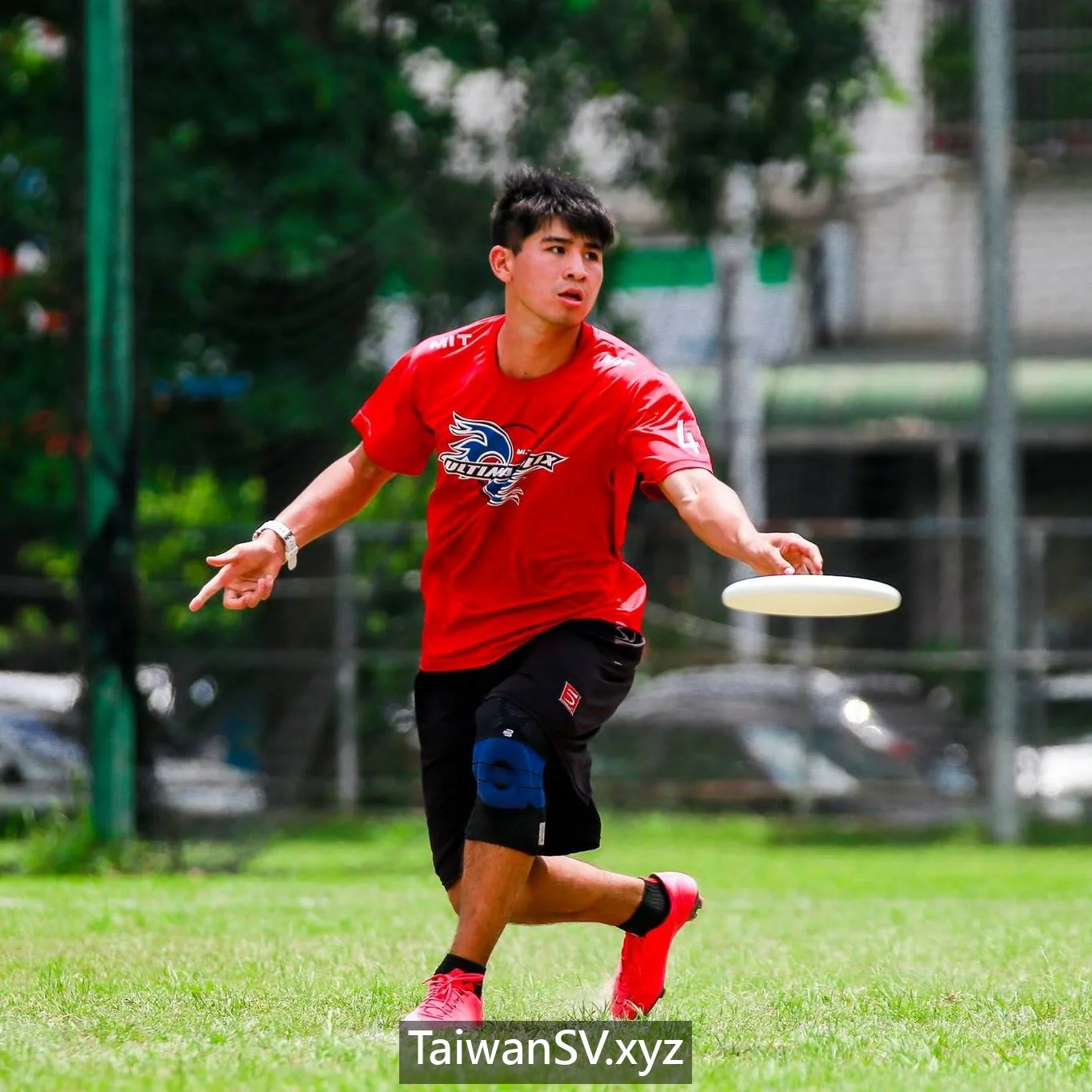 TSV254 preview